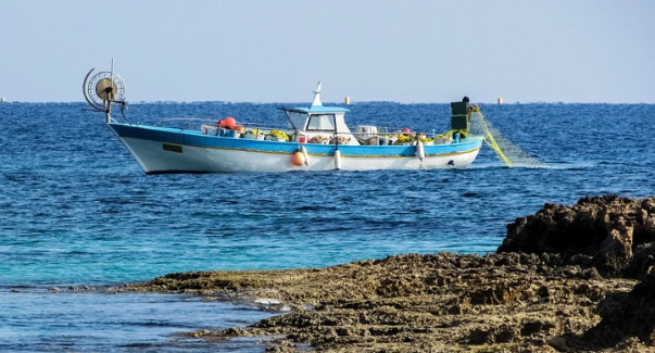 Taking The Sustainable Fishing Commitment A Step Ahead Fish_McDonald's