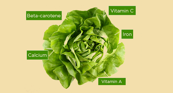 benefits of eating iceberg lettuce