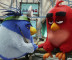 Angry Bird video