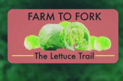 Lettuce Trail