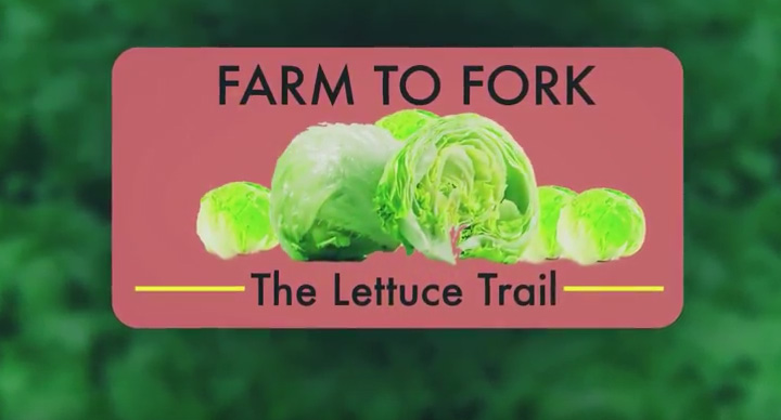 Lettuce Trail